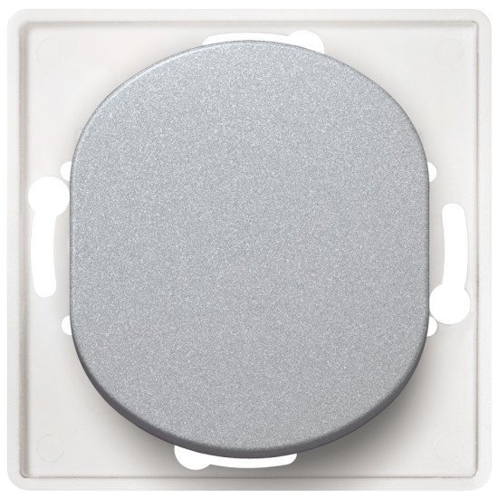 Eon e6052.s double pole switch without cover frame silver Eon e6052.s double pole switch without cover frame silver