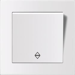 Entac 106 Arnold Recessed alternative wall switch White