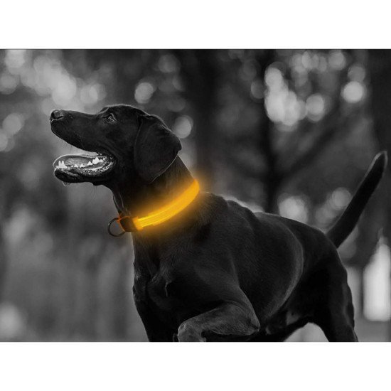 Κολάρο LED για σκύλους και γάτες ρυθμιζόμενο 59cm Κολάρο LED για σκύλους και γάτες ρυθμιζόμενο 59cm