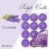 La cera 12 τμχ lavender spring