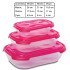Σετ 3 Δοχεία Ορθογώνιο Ροζ 0.55-1.1-2.1L