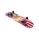 Mini Skateboard Type Iv