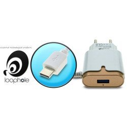 Loophole Ac Adapter Type-C Gold