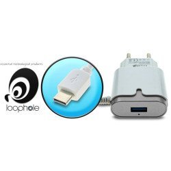 Loophole Ac Adapter Type-C Silver