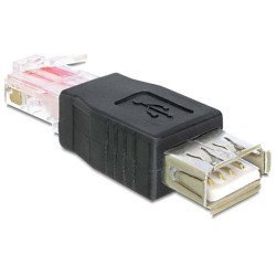 DELOCK Αντάπτορας από USB 2.0 A female σε RJ45 male