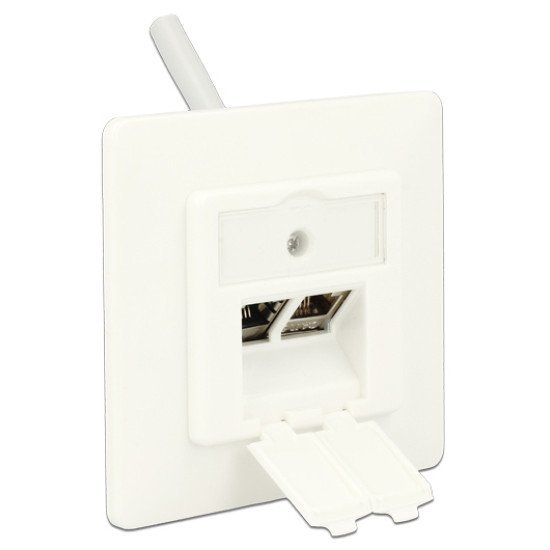 Delock Wall Outlet Για Keystone 86219, 2 Port Delock Wall Outlet Για Keystone 86219, 2 Port