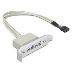 DELOCK κάρτα επέκτασης USB 9 pin σε 2x USB 2.0 83119, low profile