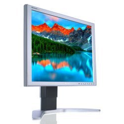 PHILIPS used οθόνη 190P7EG LCD, 19" 1280x1024px, DVI-D, SQ
