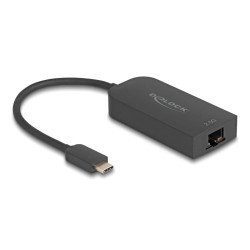 Delock Αντάπτορας Δικτύου 66046, Usb-C, 2.5Gbps Ethernet, Μαύρος