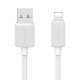 Usams Καλώδιο Lightning Σε Usb Us-Sj689, 12W, 480Mbps, 1M, Λευκό Usams Καλώδιο Lightning Σε Usb Us-Sj689, 12W, 480Mbps, 1M, Λευκό