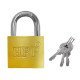 Hpp Λουκέτο Πέταλο Με Κλειδί Ctl-0041, 38Mm, Μεταλλικό Hpp Λουκέτο Πέταλο Με Κλειδί Ctl-0041, 38Mm, Μεταλλικό