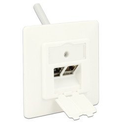 Delock Wall Outlet Για Keystone 86219, 2 Port
