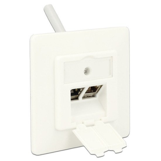 Delock Wall Outlet Για Keystone 86219, 2 Port Delock Wall Outlet Για Keystone 86219, 2 Port