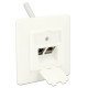 Delock Wall Outlet Για Keystone 86219, 2 Port Delock Wall Outlet Για Keystone 86219, 2 Port
