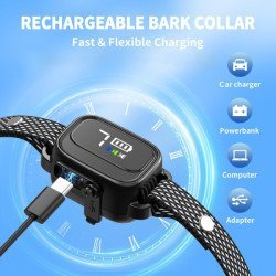 Powertech Ηλεκτρικό Κολάρο Εκπαίδευσης Σκύλου Pt-1395 Για Αποτροπή Γαυγίσματος Powertech Ηλεκτρικό Κολάρο Εκπαίδευσης Σκύλου Pt-1395 Για Αποτροπή Γαυγίσματος